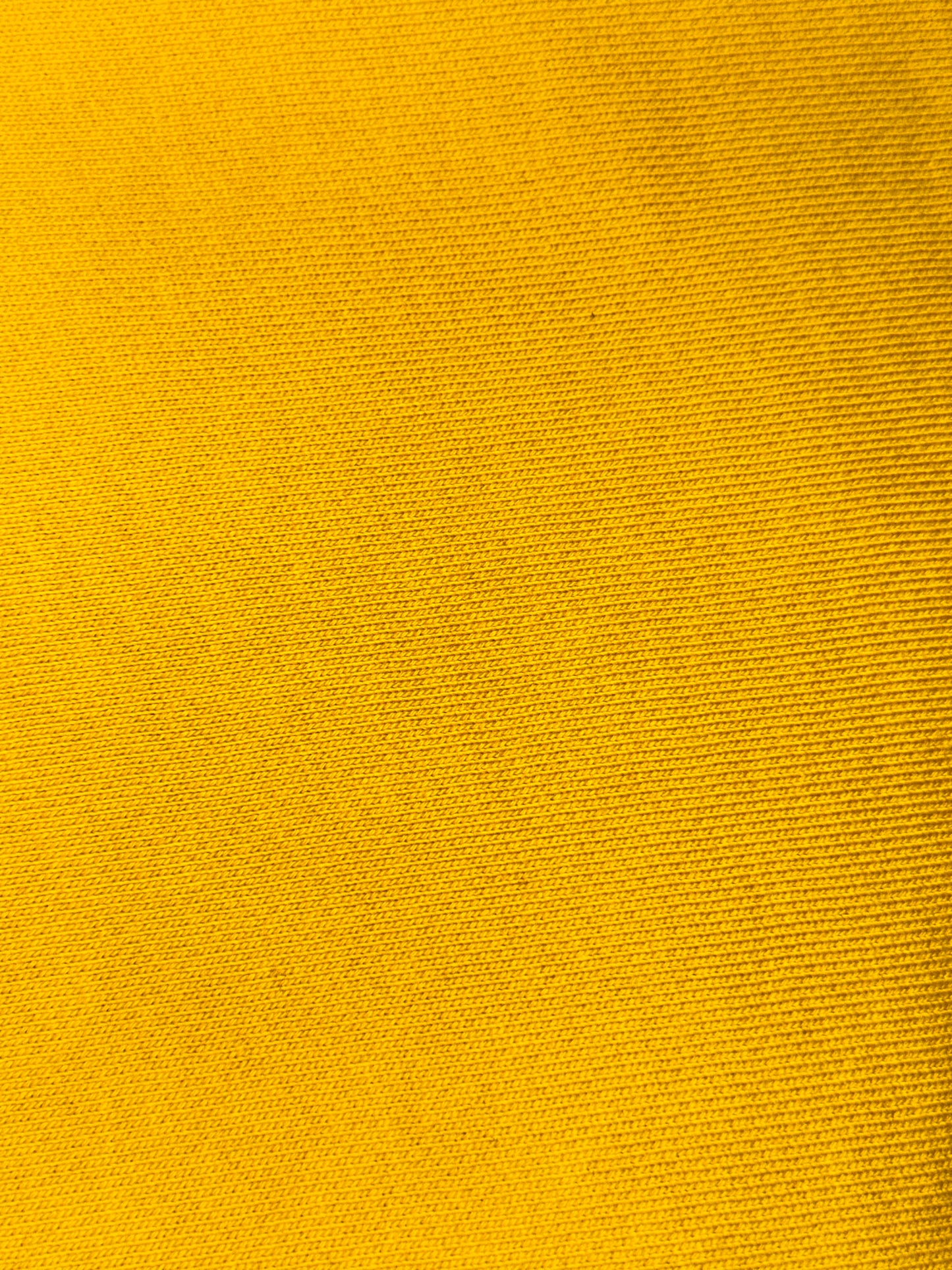 BERMUDAS IN COTTON SWEAT